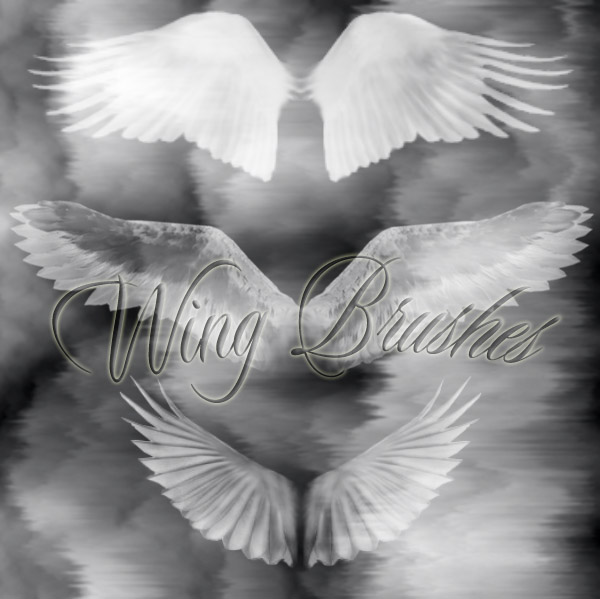 Wings___Photoshop_Brushes_by_ruby_proudfoot